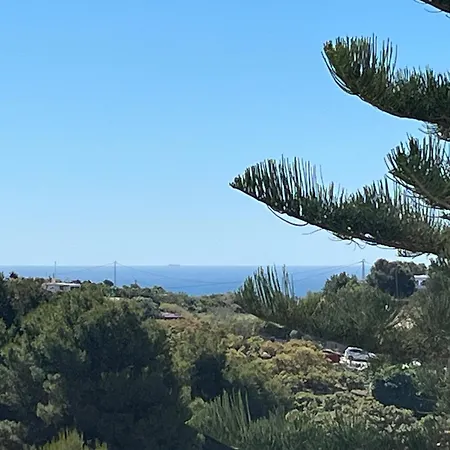 Higuera Nerja